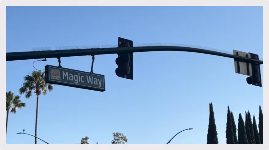 バレンシア国際カレッジプログラムの様子